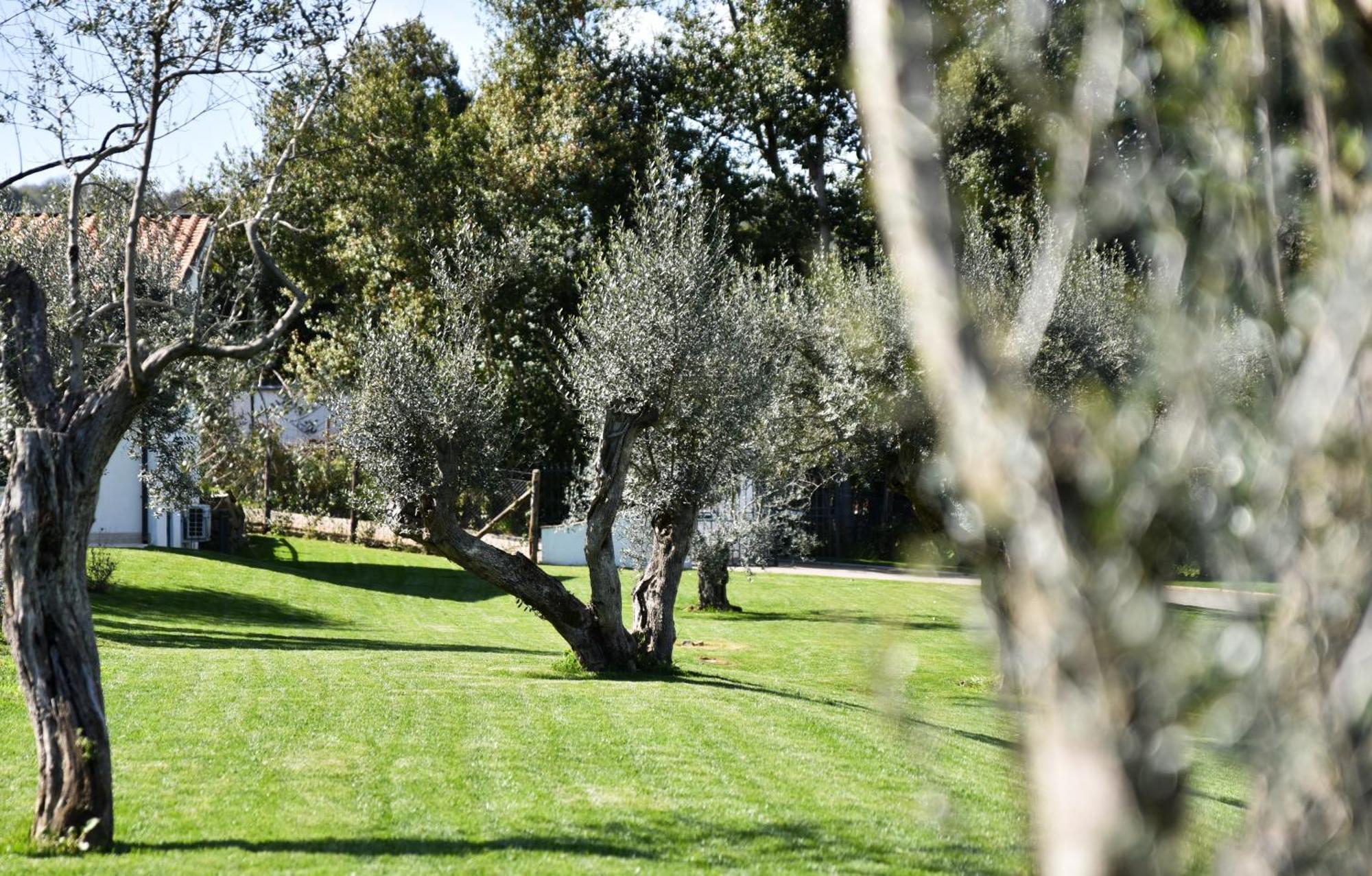 Vigna Caio Relais & Spa (Adults Only) Bracciano  Luaran gambar